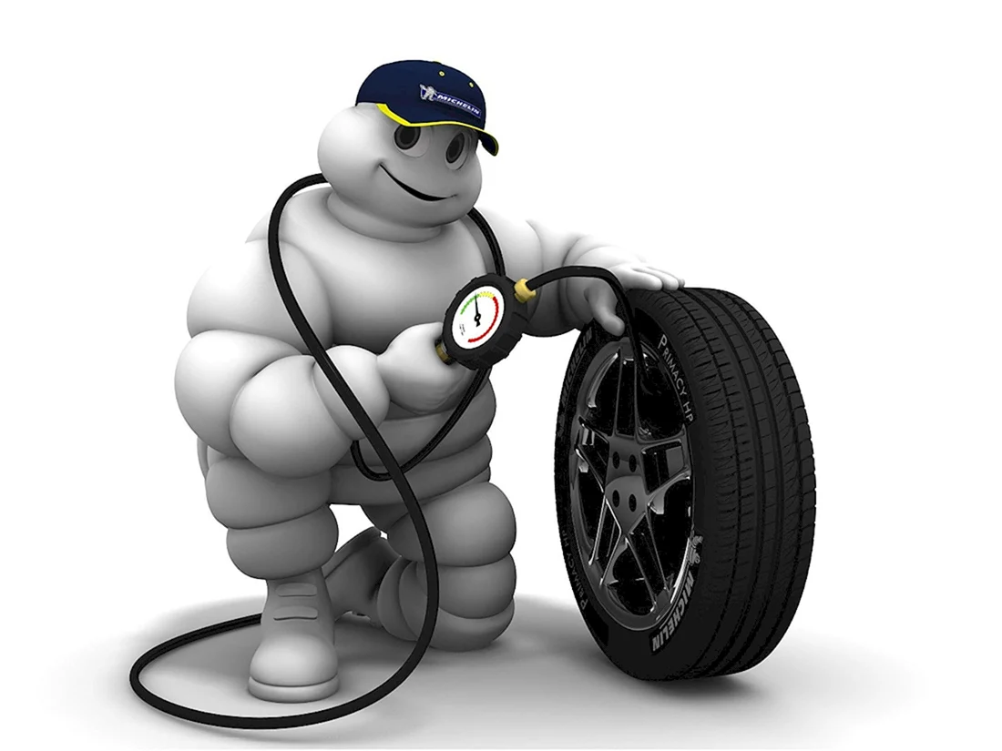 Мишлен шины
