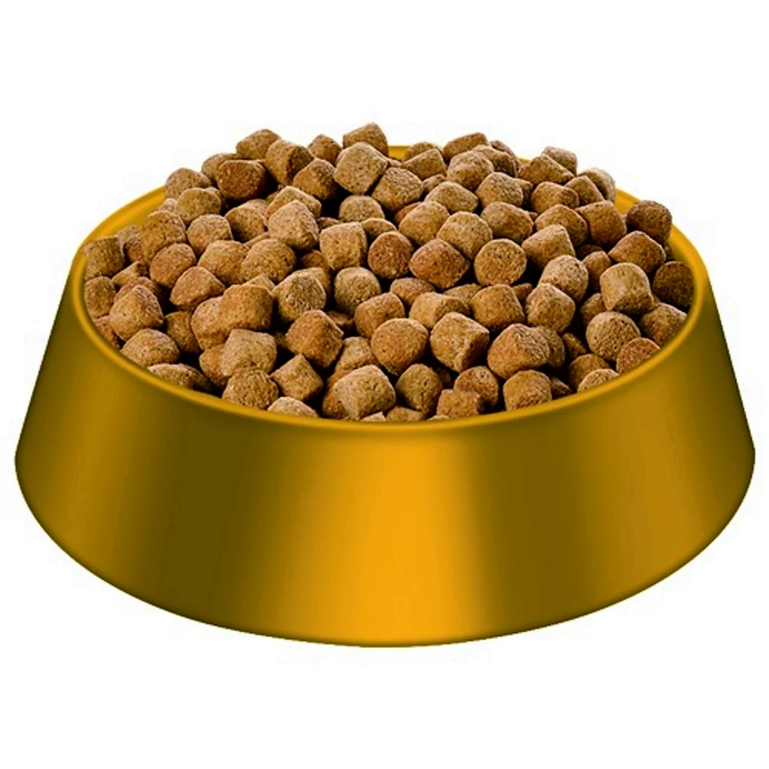 Миска с кормом