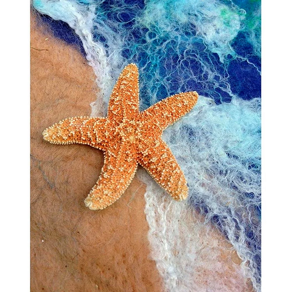 Морская звезда
