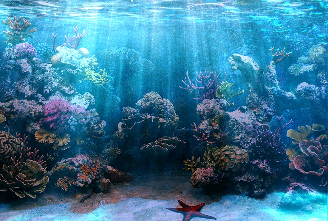 Морское дно