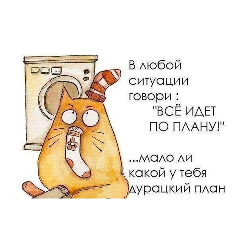 Мотивирующие цитаты с юмором