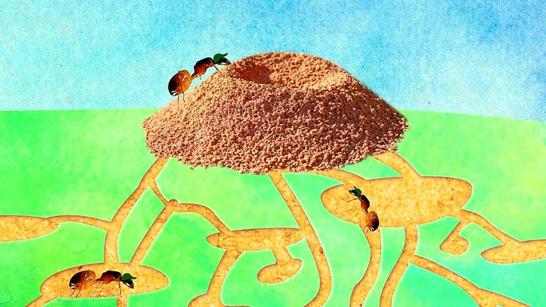 Муравейник