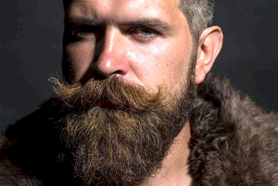 Mutton Chops борода