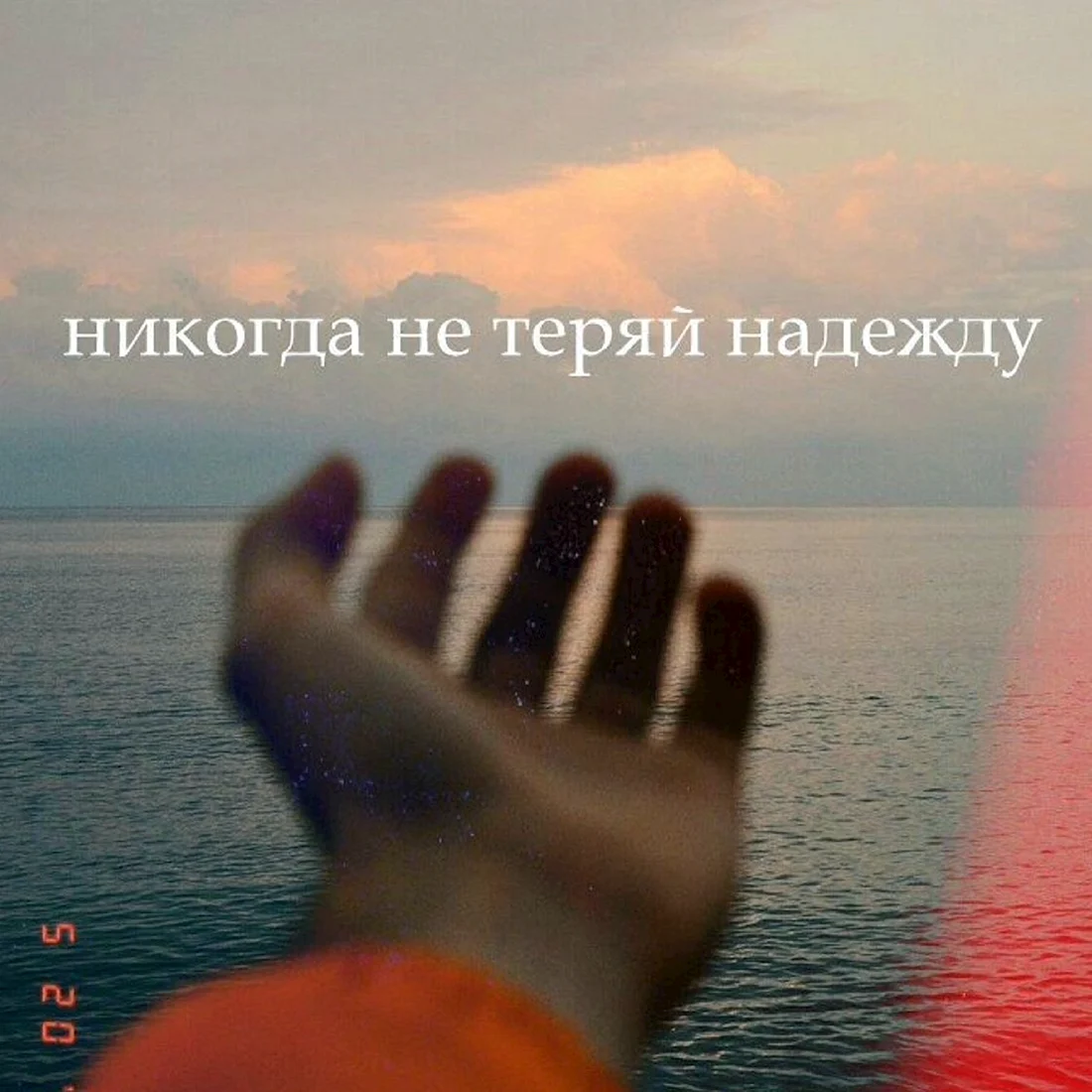 Не теряй надежду