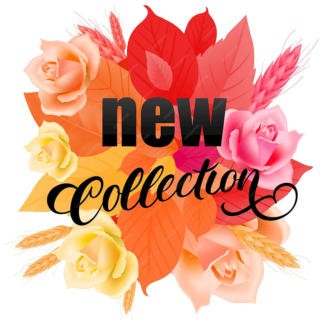 New collection надпись