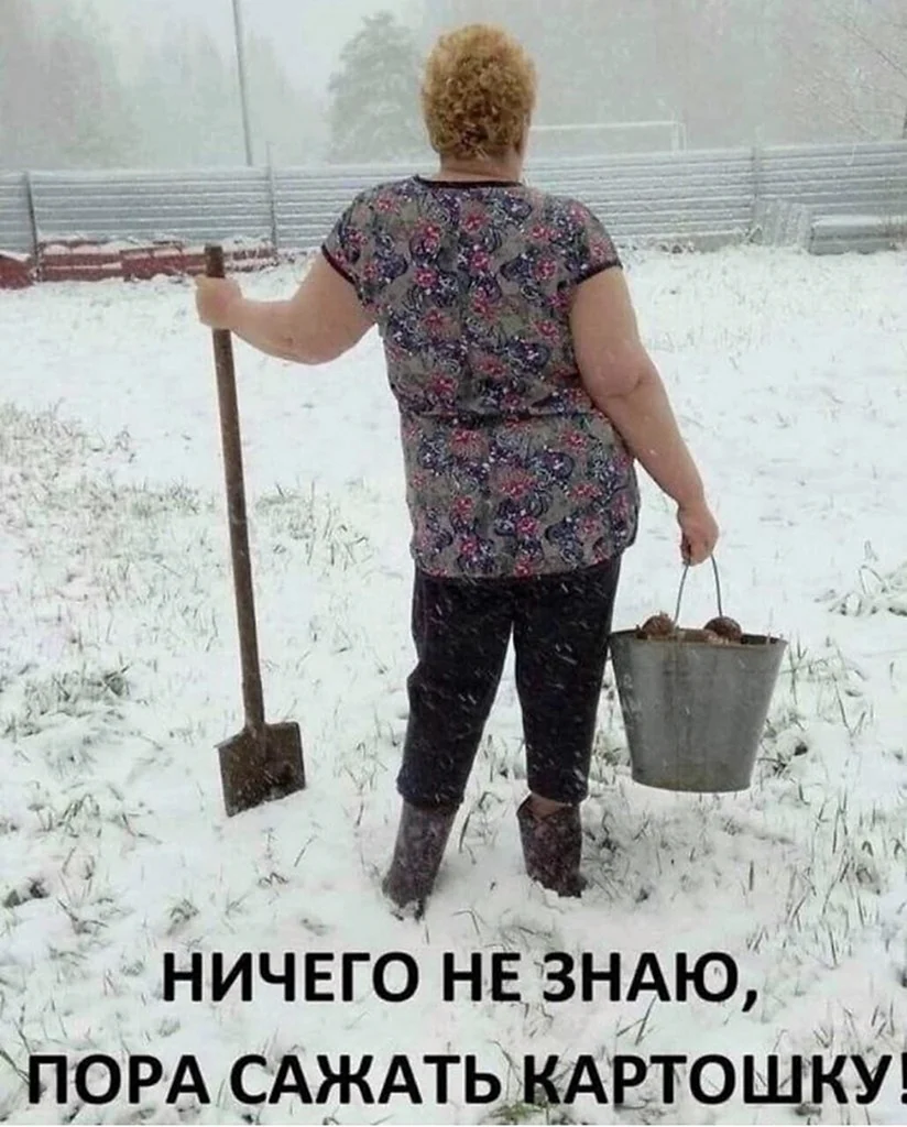 Ничего не знаю пора сажать картошку