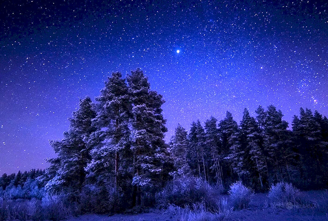 Ночное небо