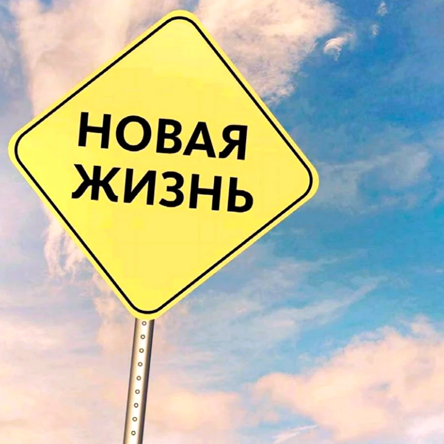 Новая жизнь картинки