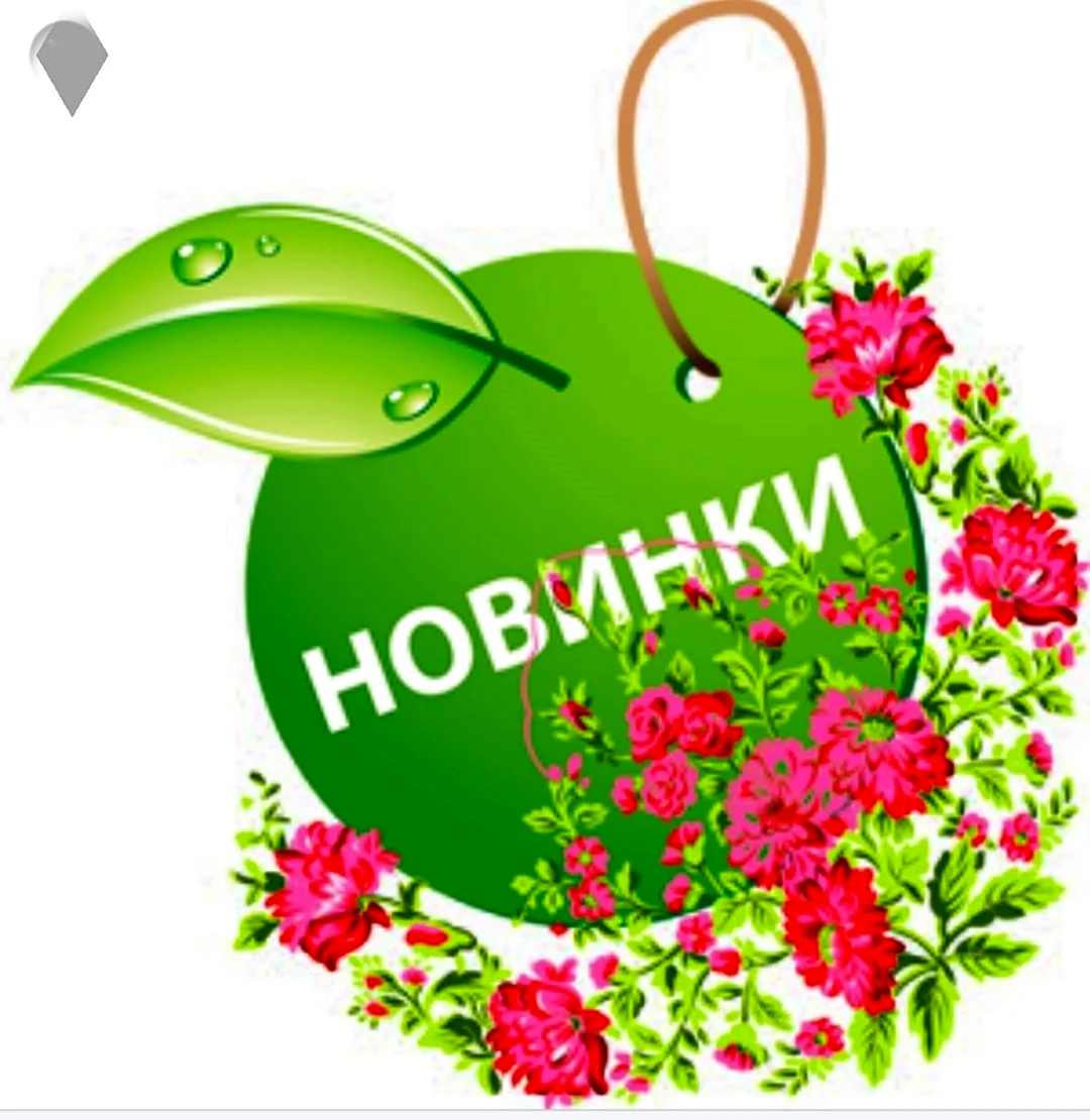Новинка надпись