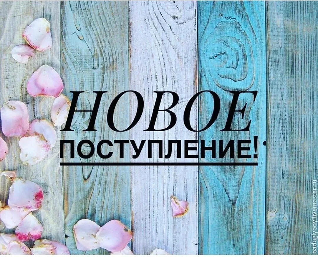 Новое поступление