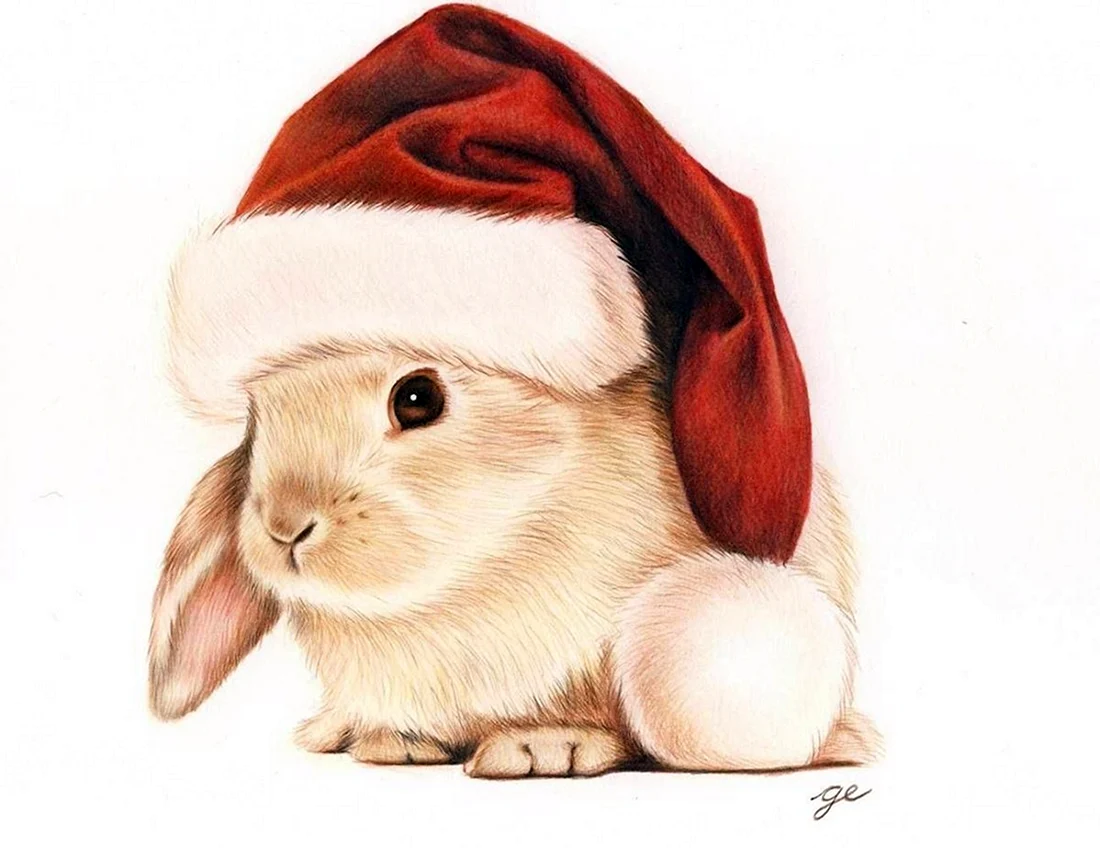 Новогодний кролик
