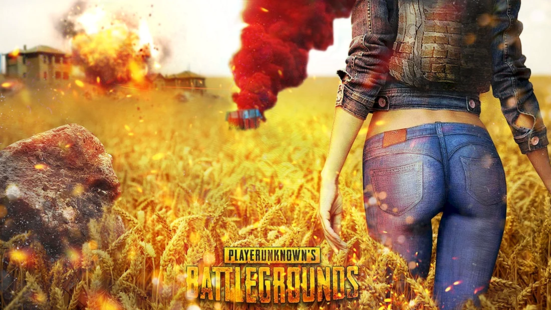 Обложка PLAYERUNKNOWNS Battlegrounds PUBG