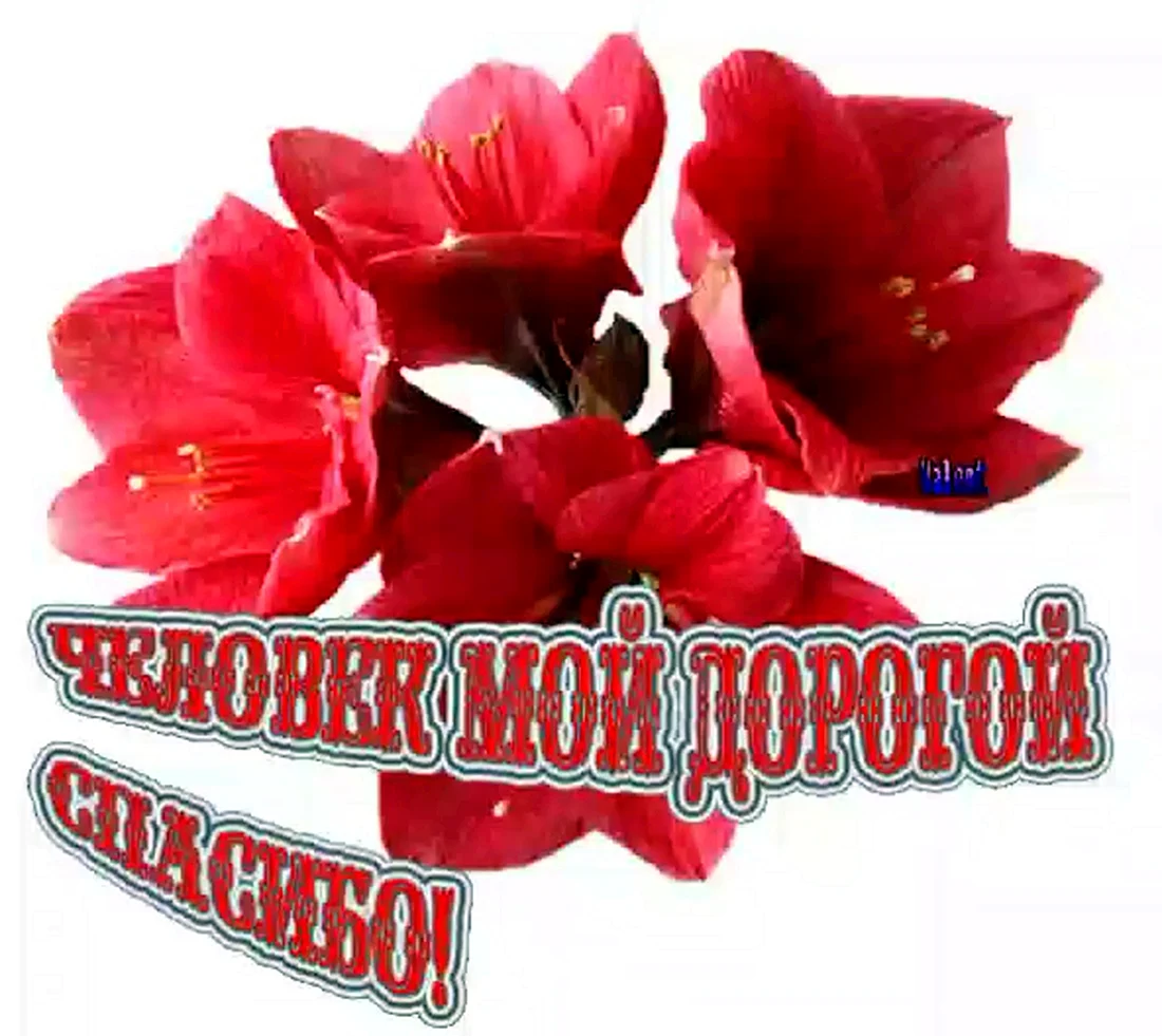 Открытки с благодарностью