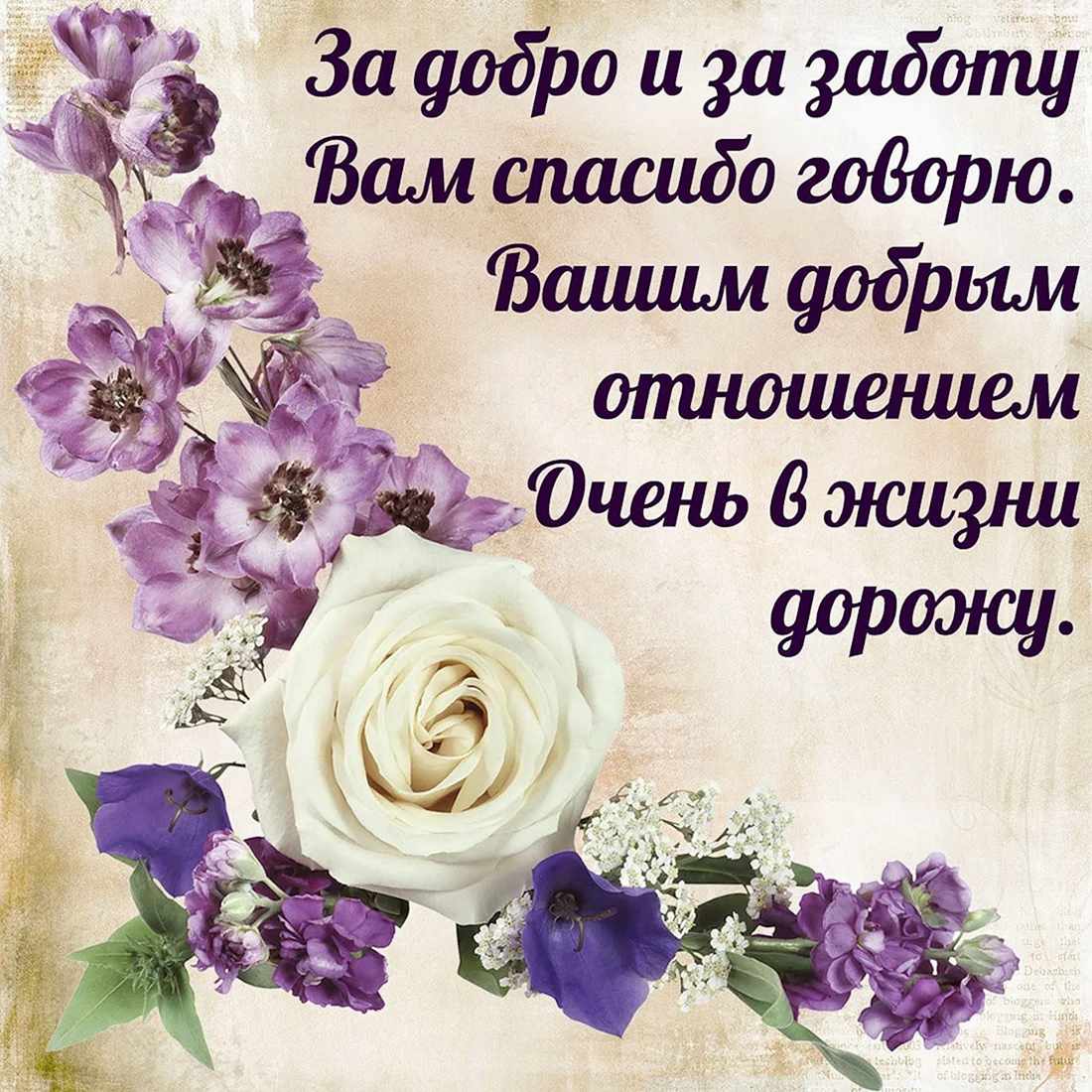 Открытки с пожеланиями