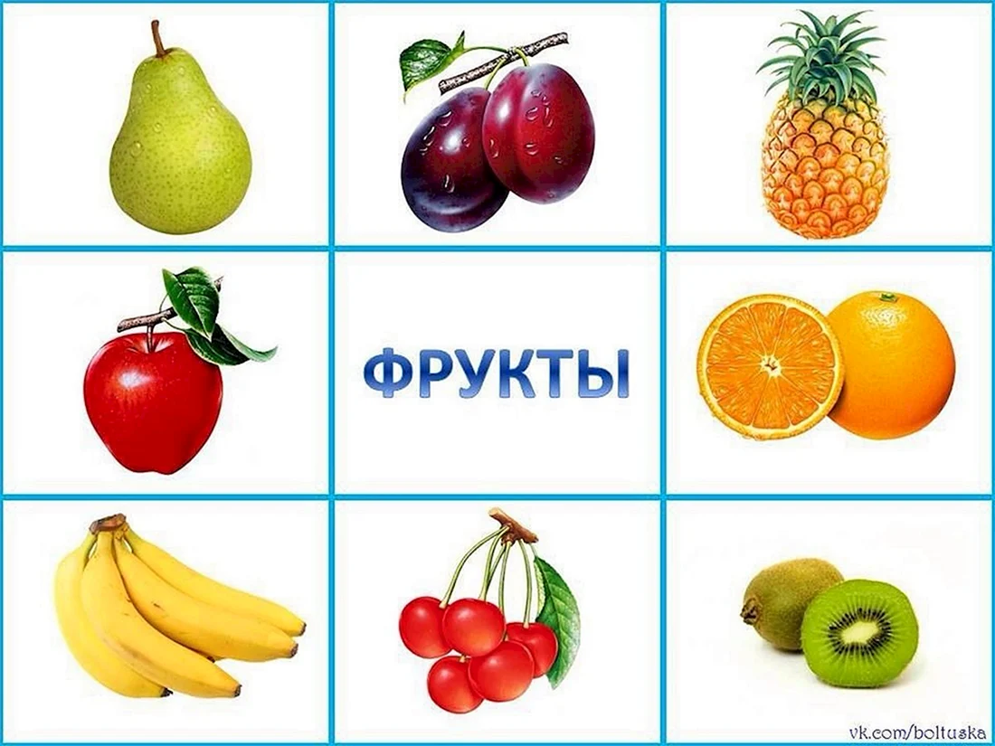Овощи и фрукты для дошкольников