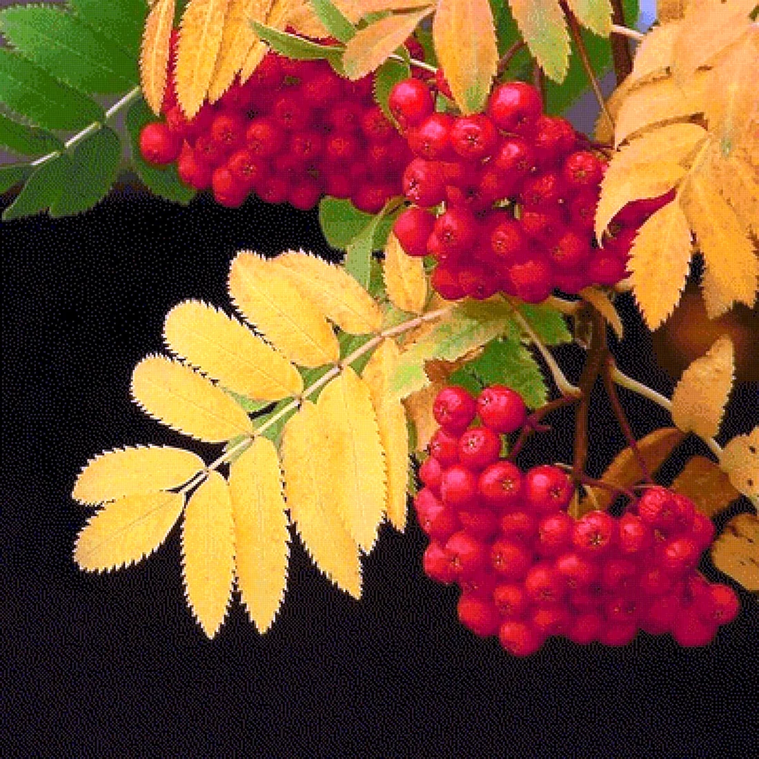 Павел рябинник