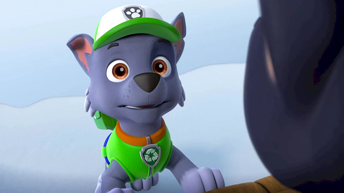 Paw Patrol Рокки