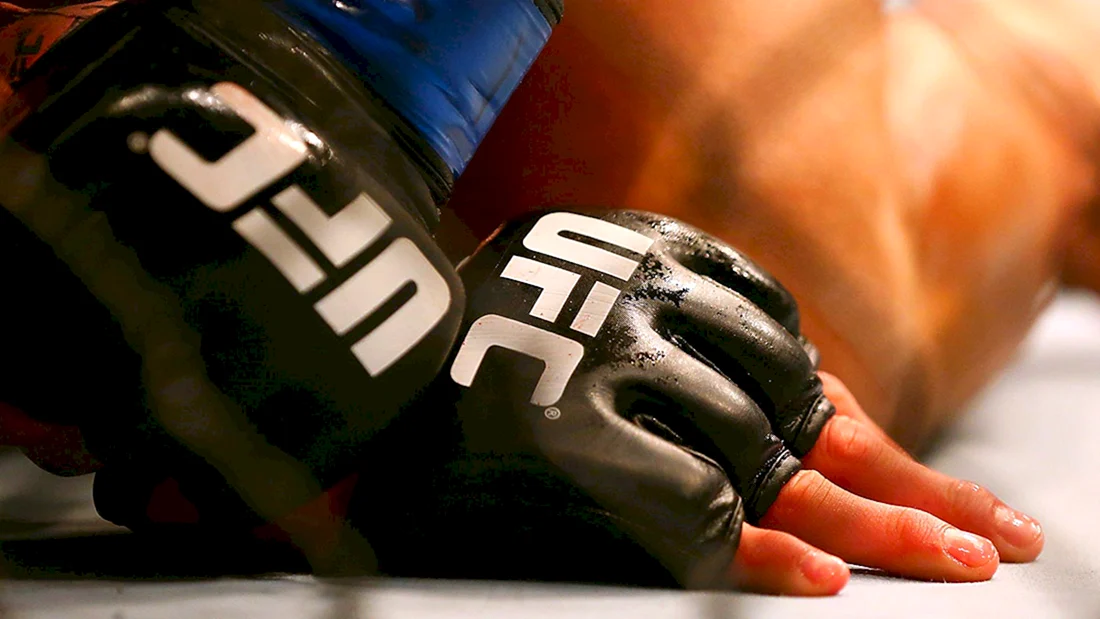 Перчатки бойцов MMA UFC