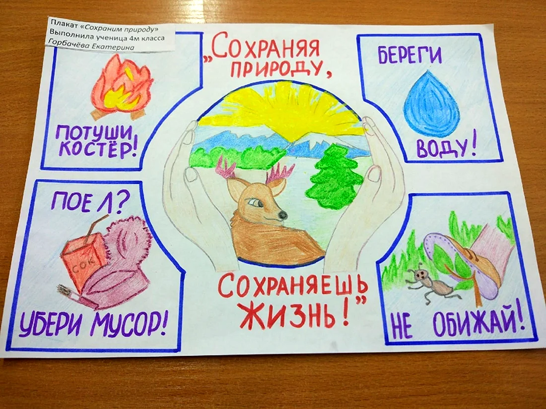 Плакал сохраним пр роду