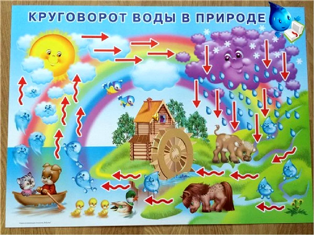 Плакат круговорот воды в природе для детей детского сада