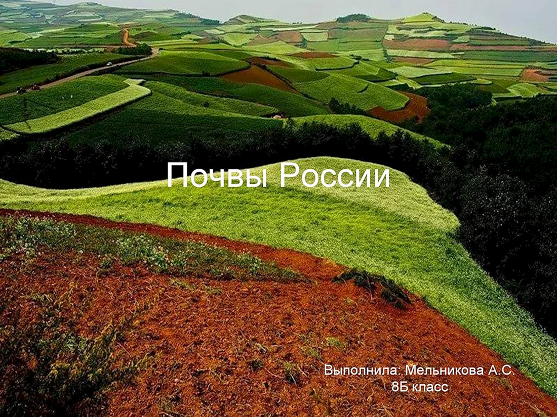 Почвенный Покров