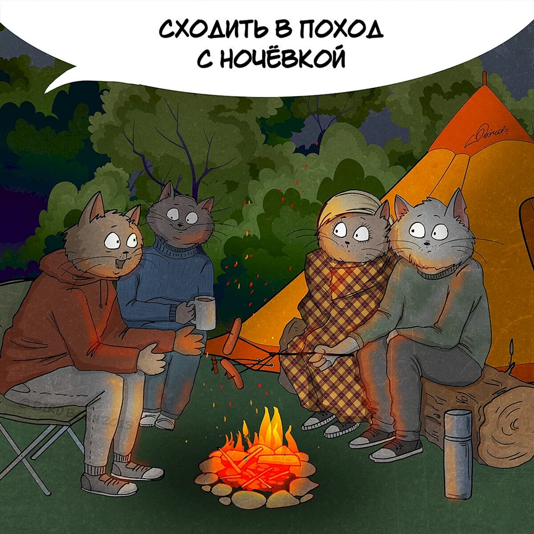 Пойти в поход