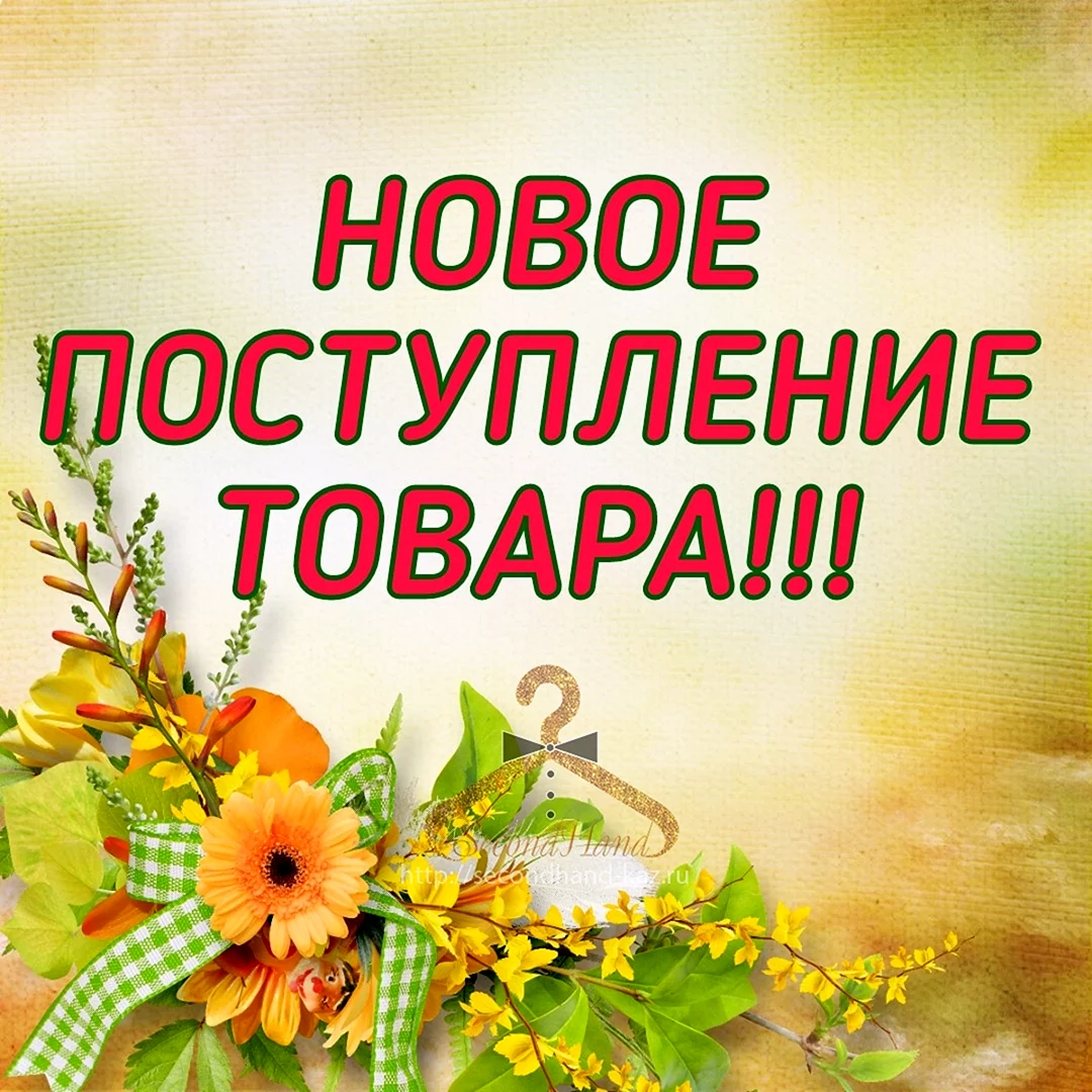 Поступление нового товара