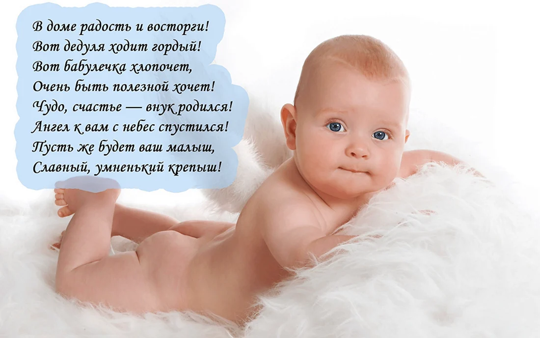 Поздравление с рождением вука