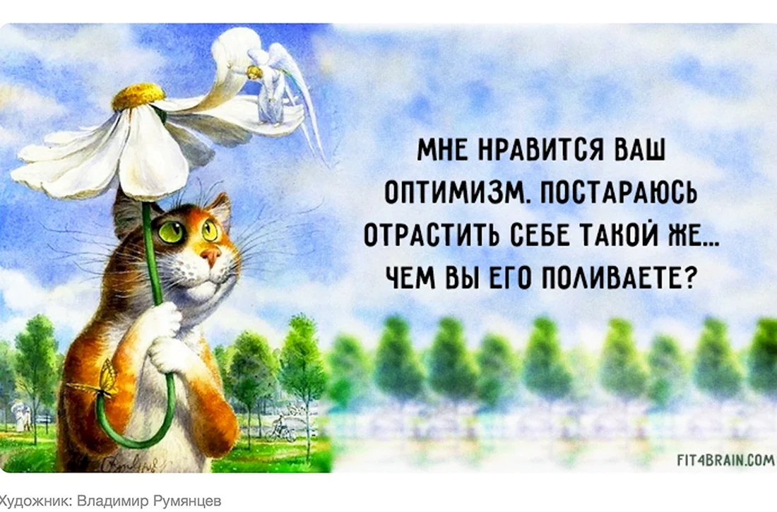 Позитивные афоризмы
