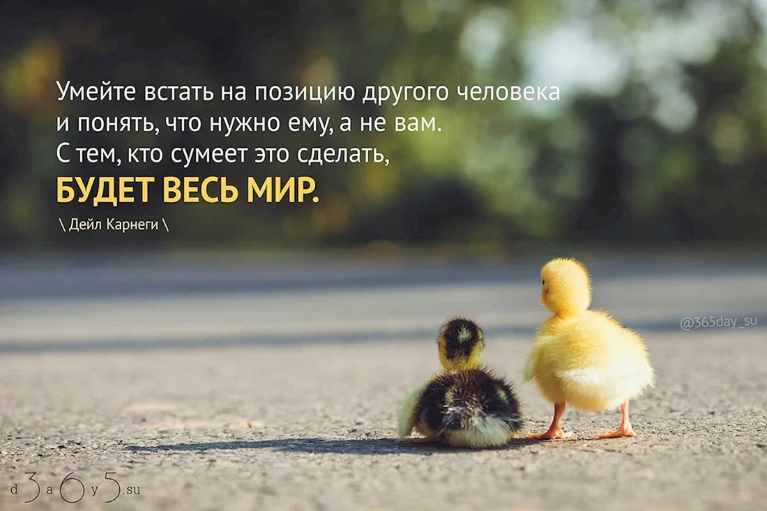 Позитивные фразы