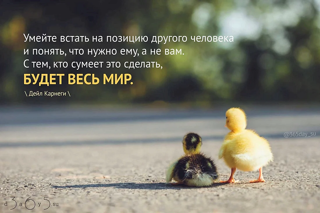 Позитивные фразы