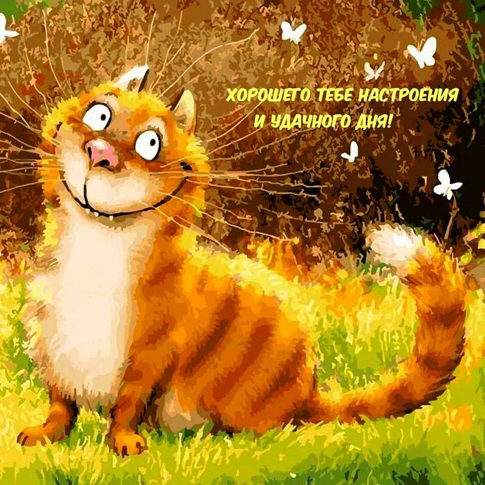 Позитивные открытки