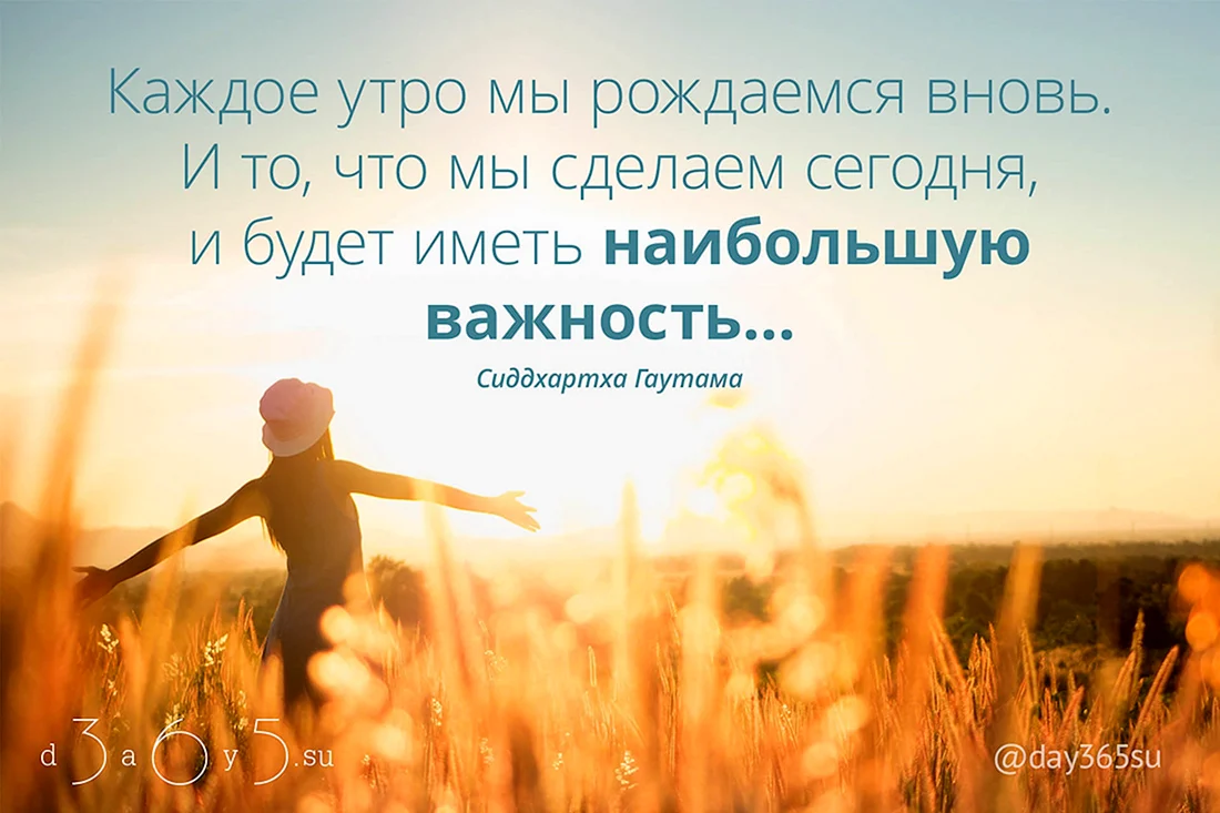 Позитивные цитаты Мотивирующие