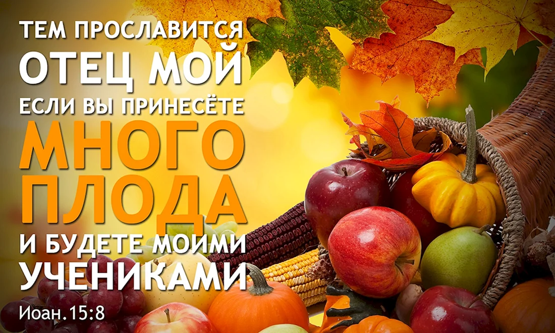 Праздник жатвы