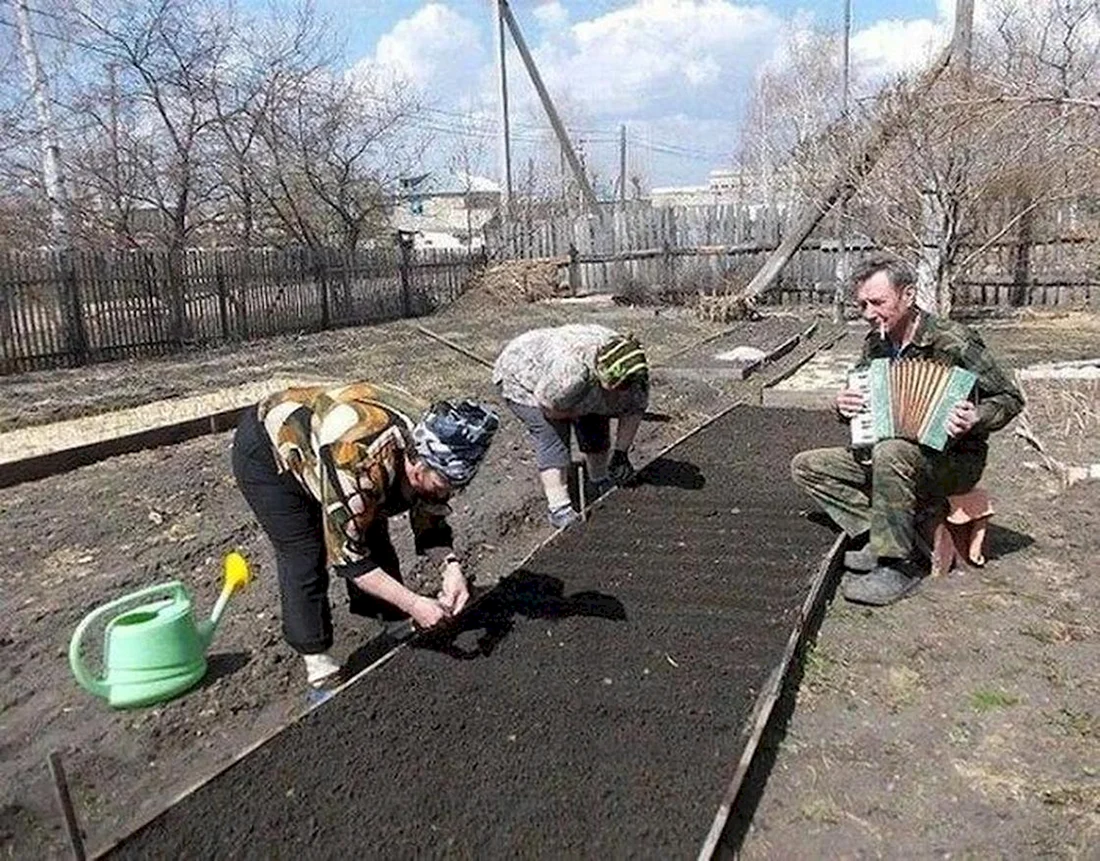 Приколы про дачу