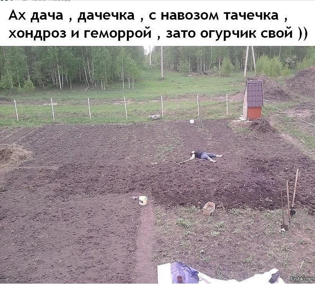 Приколы про дачу
