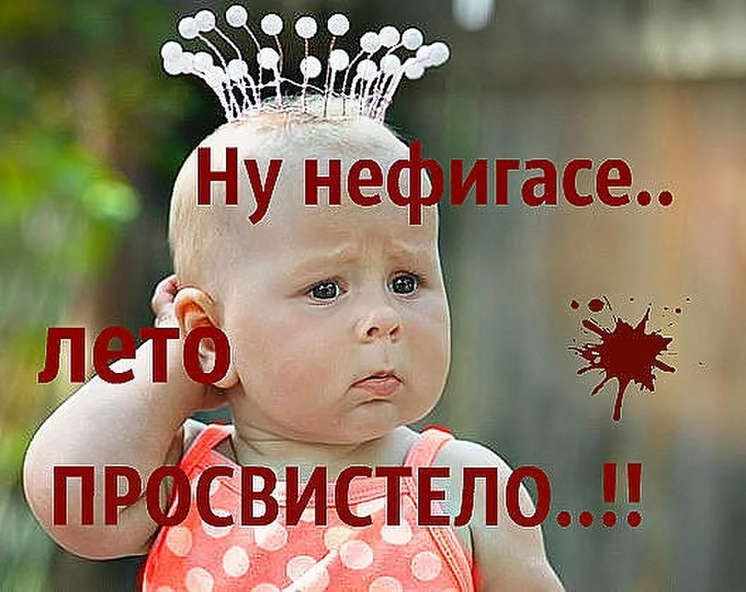 Приколы про лето
