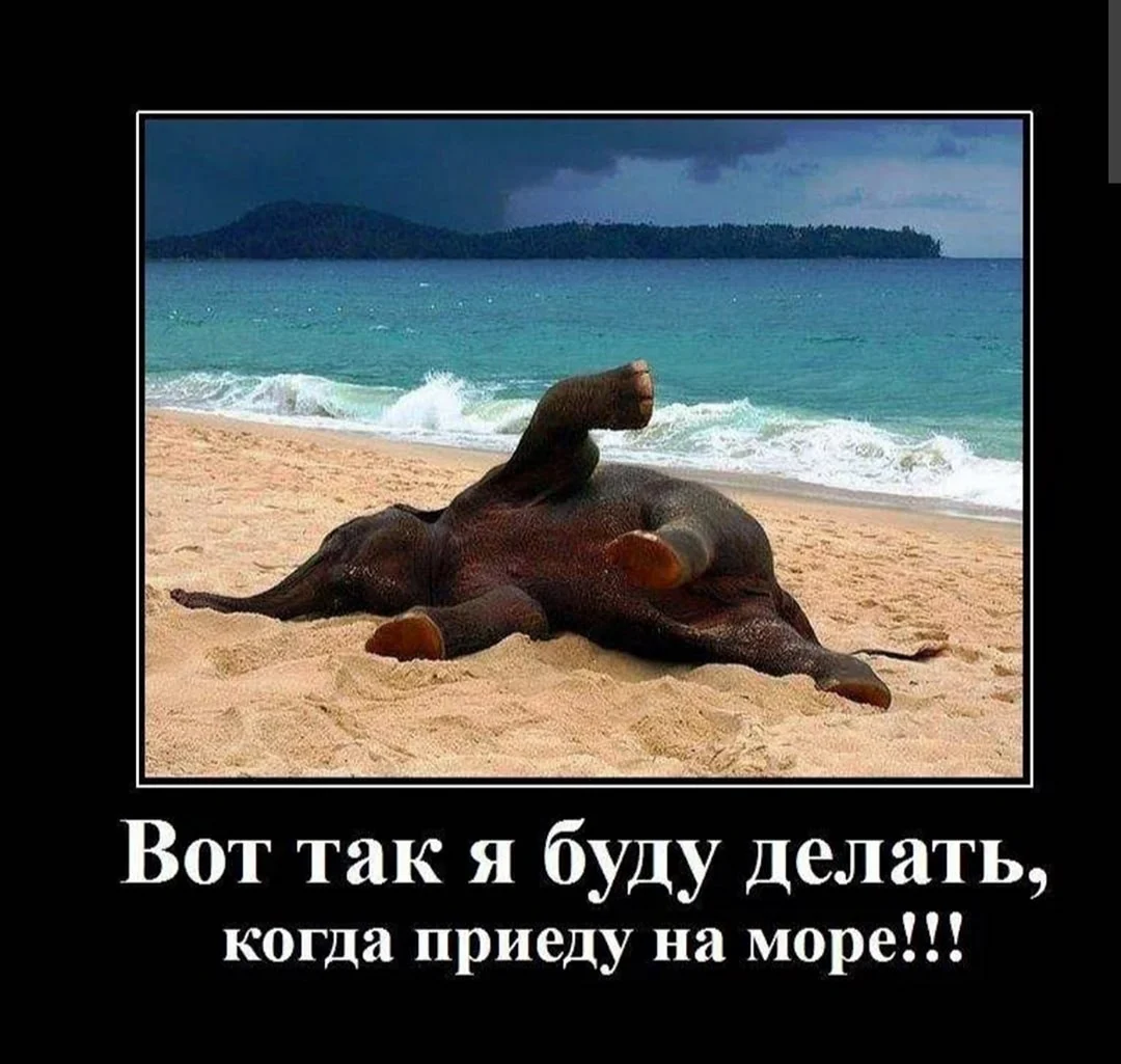 Приколы про море