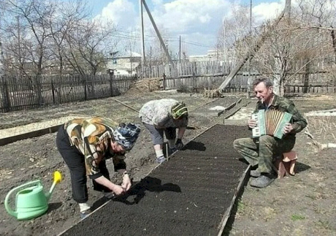 Приколы про огород
