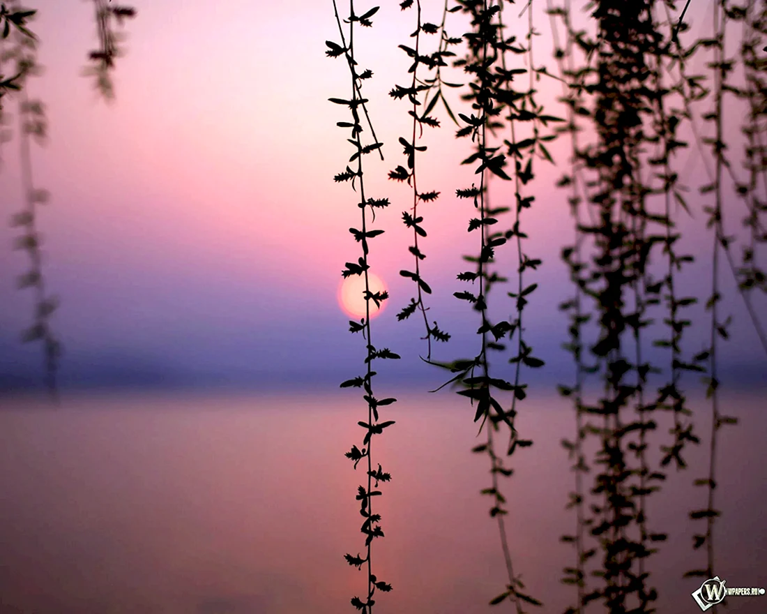 Природа