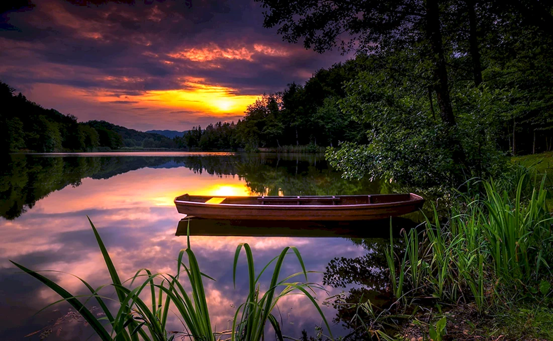 Природа