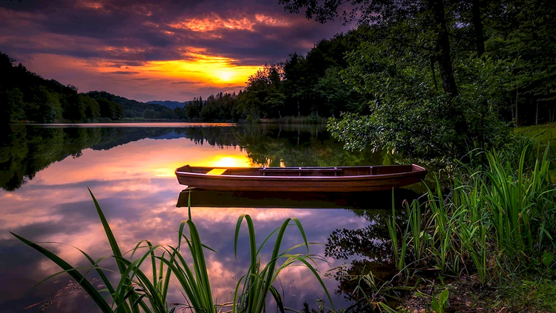 Природа