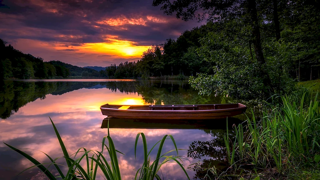 Природа