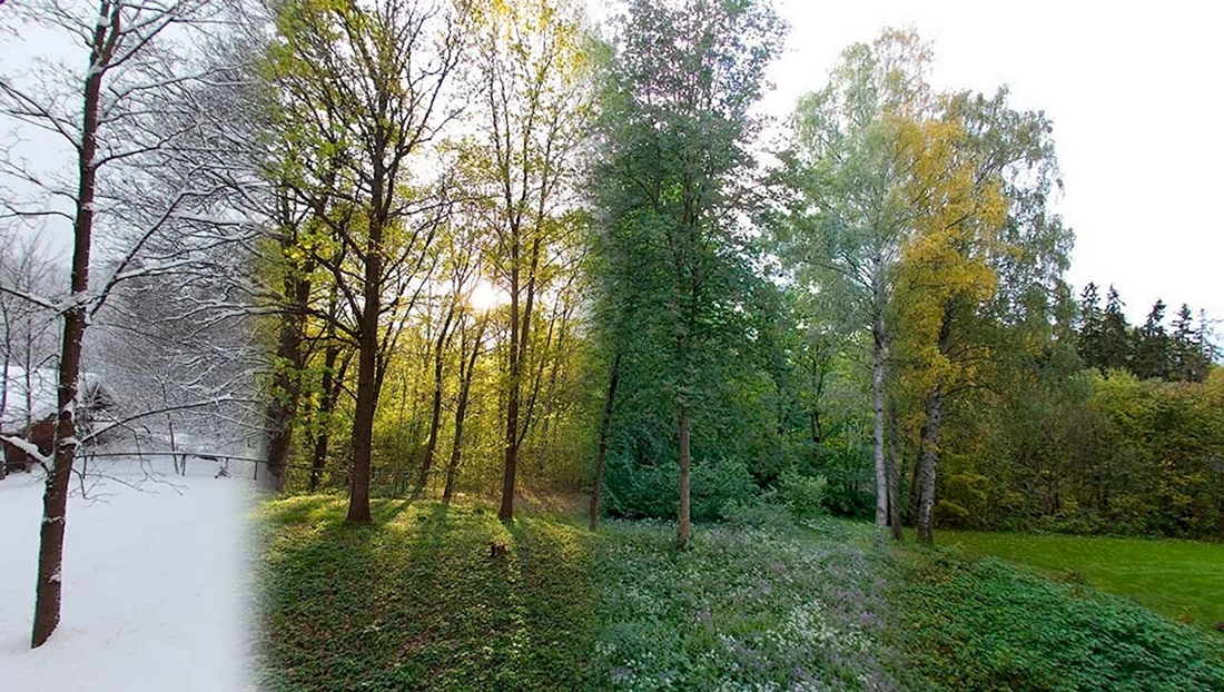 Природа в разные времена года