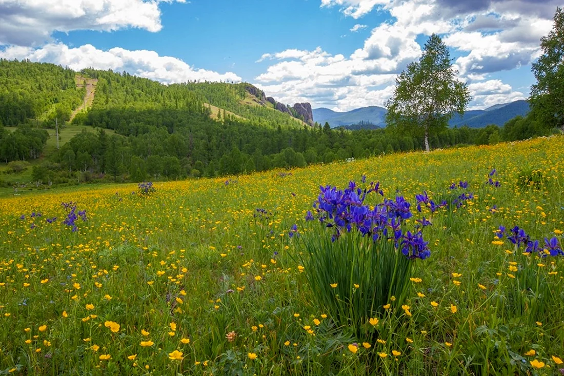 Природа Закаменского района