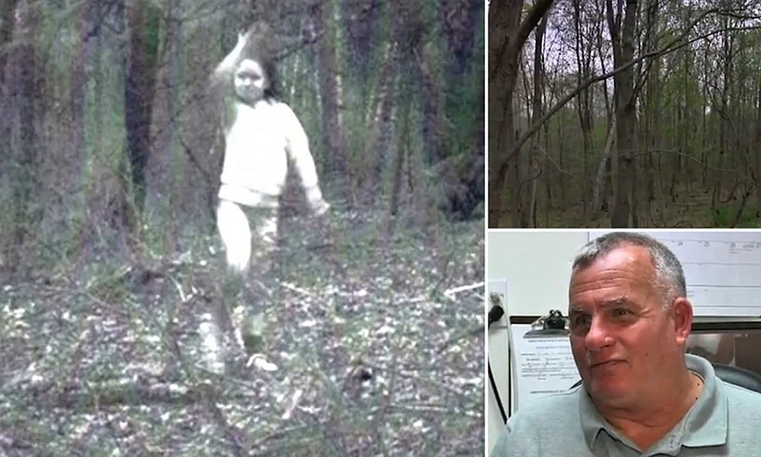 Приведения на фотографиях