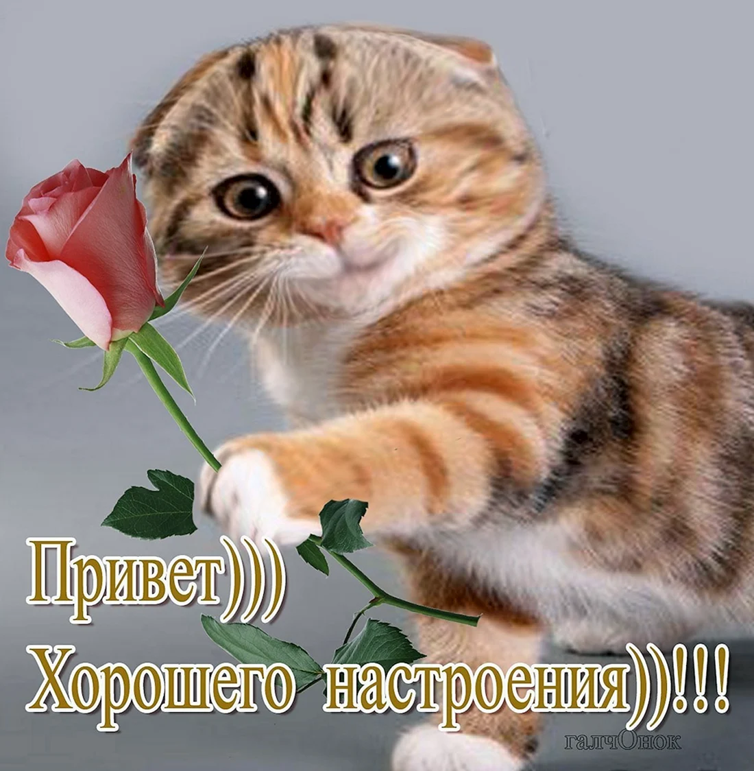 Привет хорошего настроения