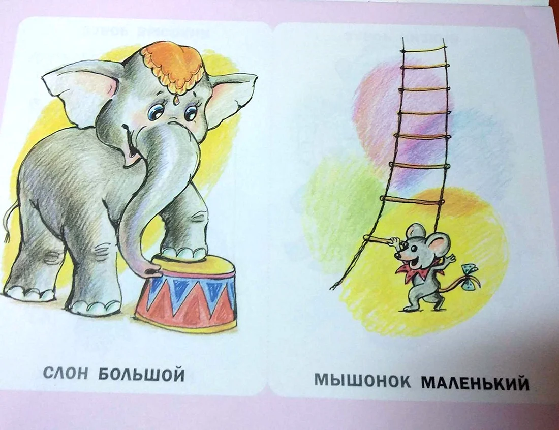 Противоположности для детей