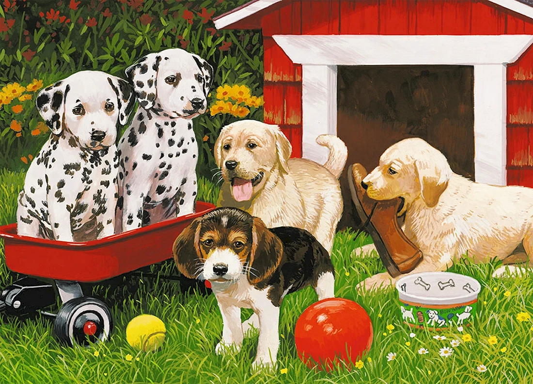 Puzzle Hatber 1000 собаки