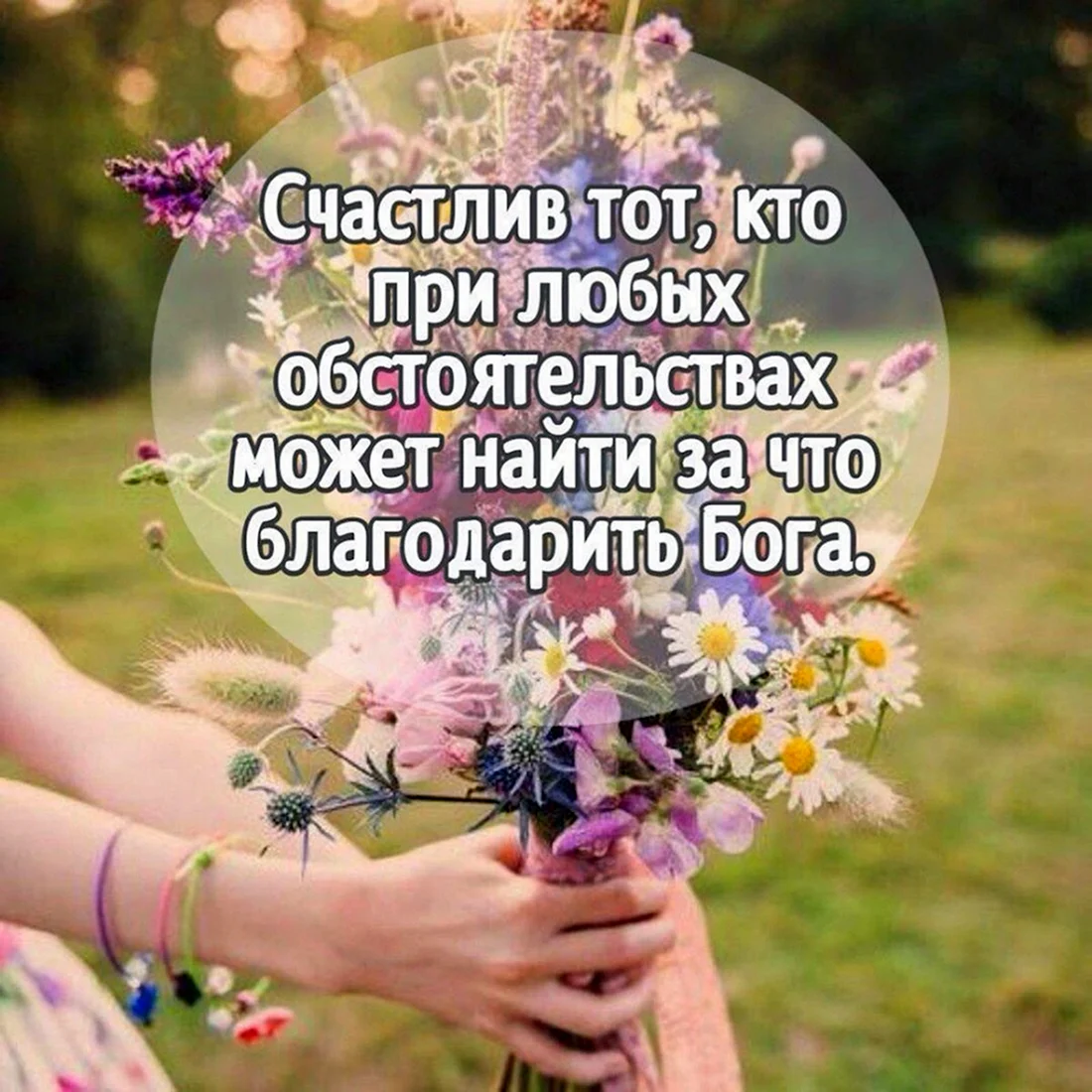 Радость жизни цитаты